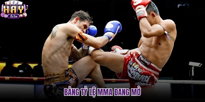 bang-ty-le-mma-dang-mo bang-ty-le-mma-dang-mo