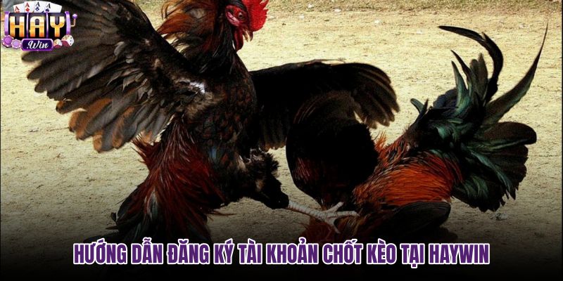 huong-dan-dang-ky-tai-khoan-chot-keo-tai-haywin huong-dan-dang-ky-tai-khoan-chot-keo-tai-haywin