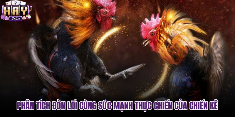 phan-tich-don-loi-cung-suc-manh-thuc-chien-cua-chien-ke phan-tich-don-loi-cung-suc-manh-thuc-chien-cua-chien-ke