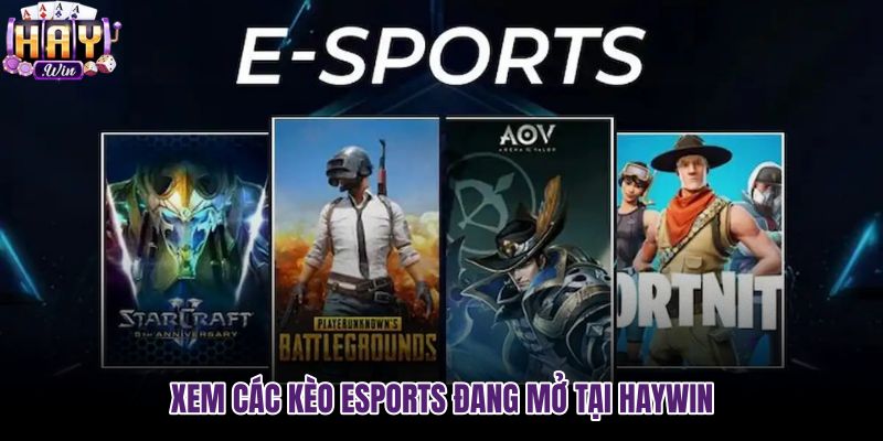 xem-cac-keo-esports-dang-mo-tai-haywin xem-cac-keo-esports-dang-mo-tai-haywin